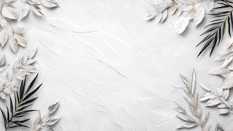 高清大图下载【趣麦麦图】白色叶子框架