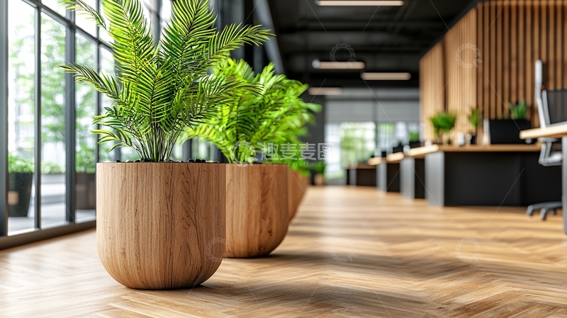 高清大图下载【趣麦麦图】办公室绿植现代简约风