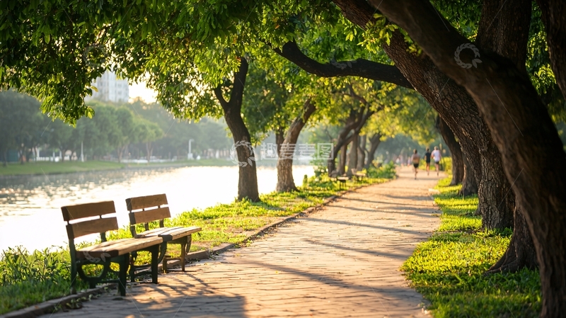 高清大图下载【趣麦麦图】林荫大道旁的公园长椅