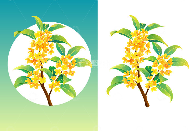 源文件下载【趣麦麦图】桂花国风矢量插画