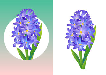 风信子国风矢量插画