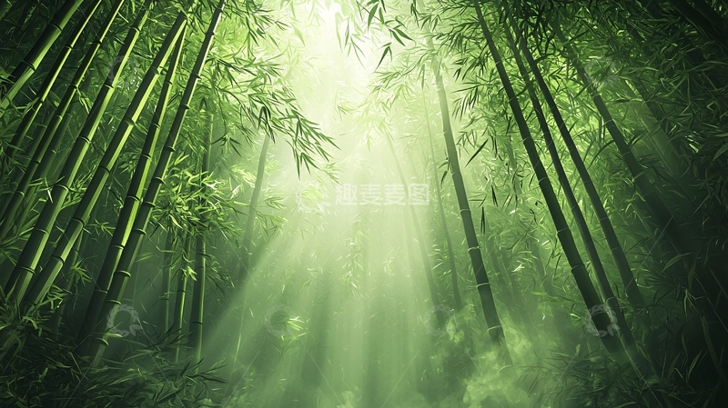 高清大图下载【趣麦麦图】阳光穿透竹林