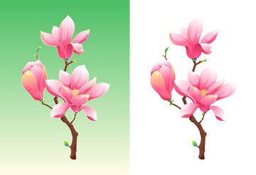 玉兰花国风矢量插画