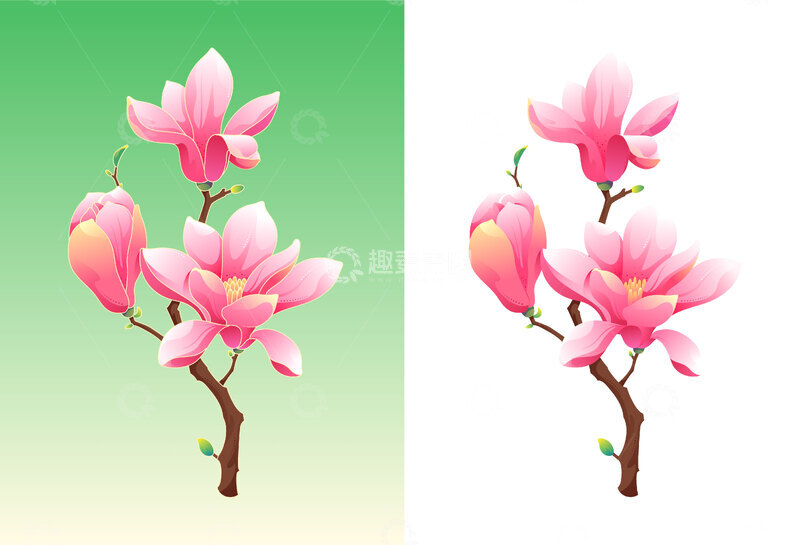 玉兰花国风矢量插画