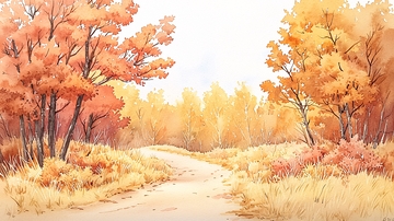 秋日暖阳下的树林小路