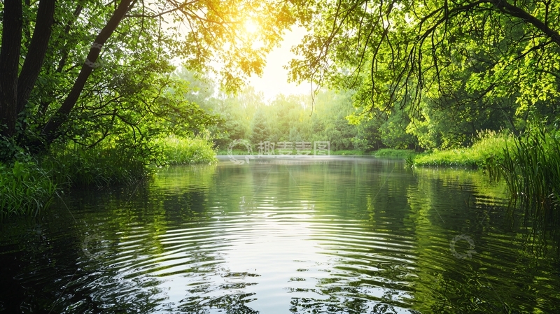 高清大图下载【趣麦麦图】阳光穿过树林的小河