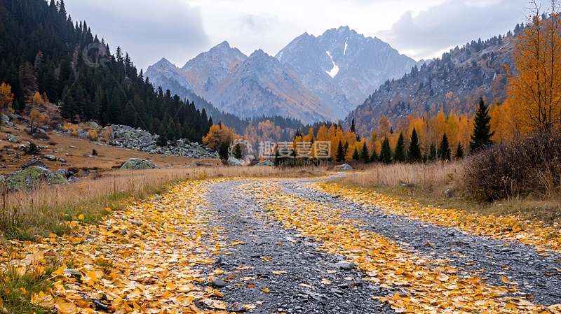高清大图下载【趣麦麦图】秋日山间小路