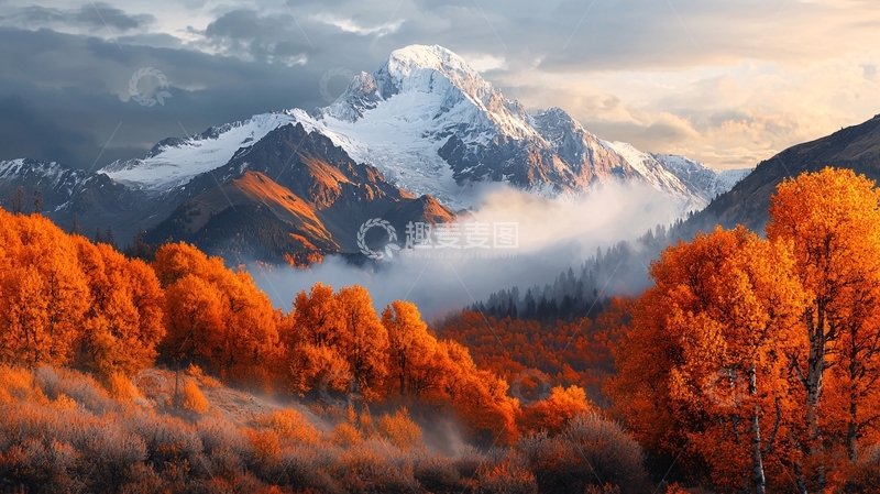 高清大图下载【趣麦麦图】秋日雪山下的橙色树林