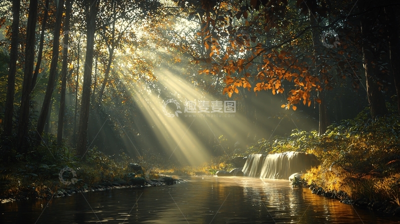 高清大图下载【趣麦麦图】阳光穿透森林的景象