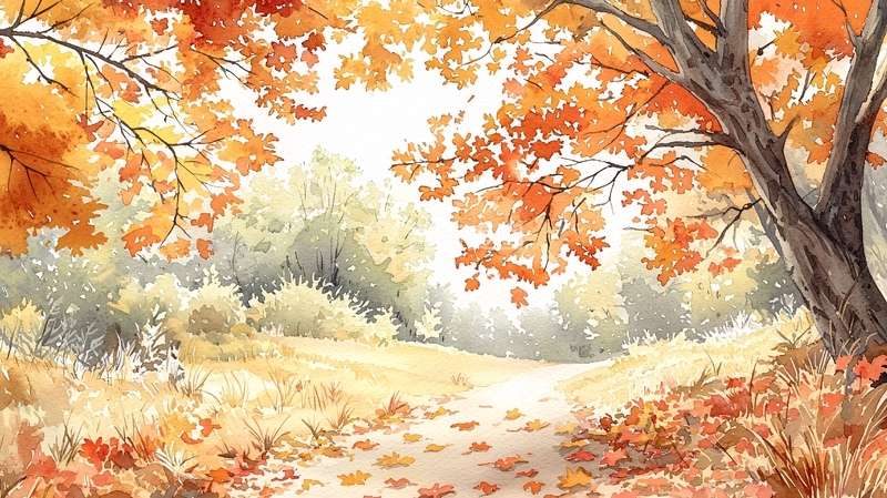 高清大图下载【趣麦麦图】秋天金色树林小路