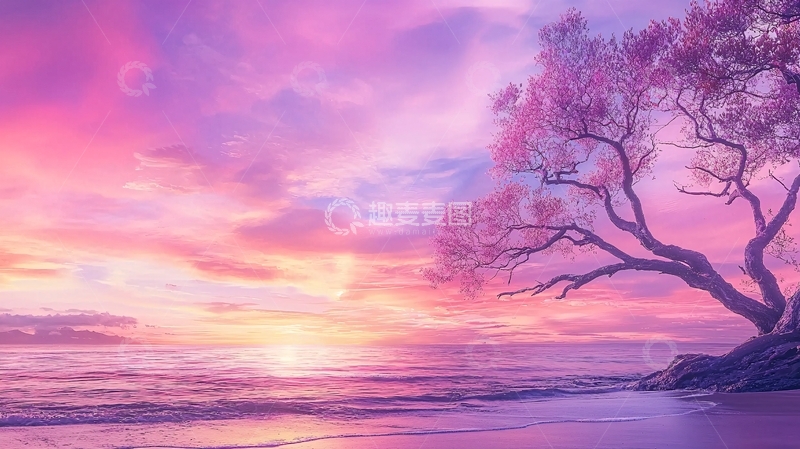 高清大图下载【趣麦麦图】唯美紫粉色天空下的树