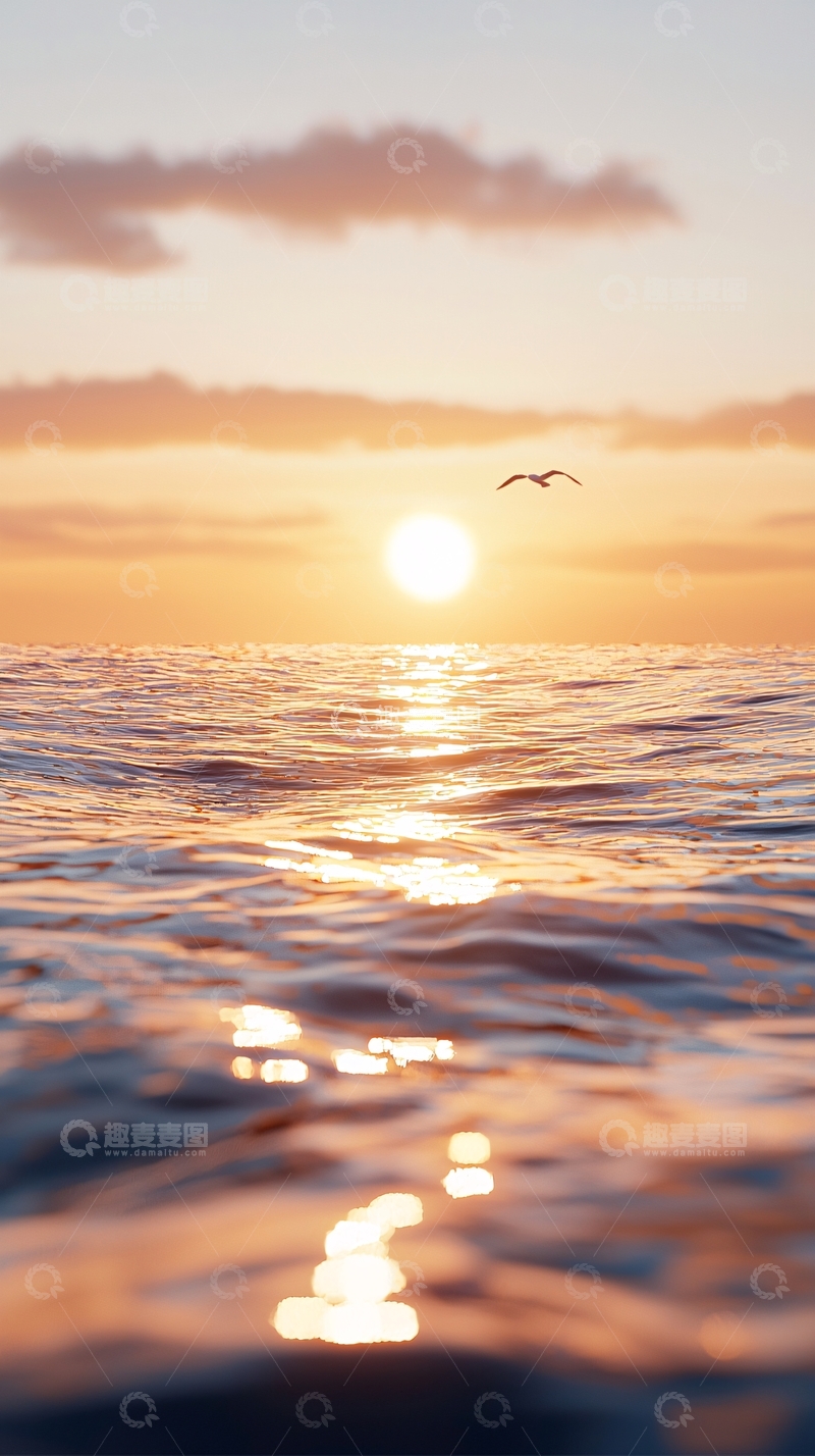 高清大图下载【趣麦麦图】海面日出海鸥飞翔