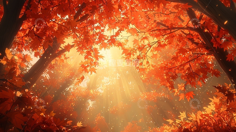 高清大图下载【趣麦麦图】秋日阳光下的森林美景