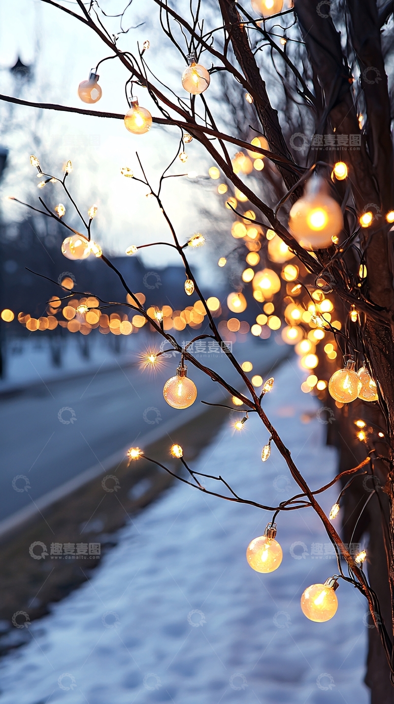 高清大图下载【趣麦麦图】树上暖光灯高清图片