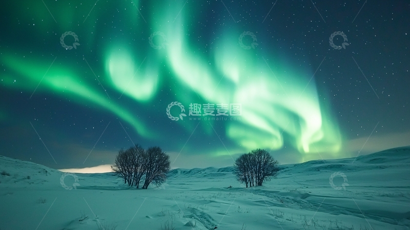 高清大图下载【趣麦麦图】极光下的雪地树木