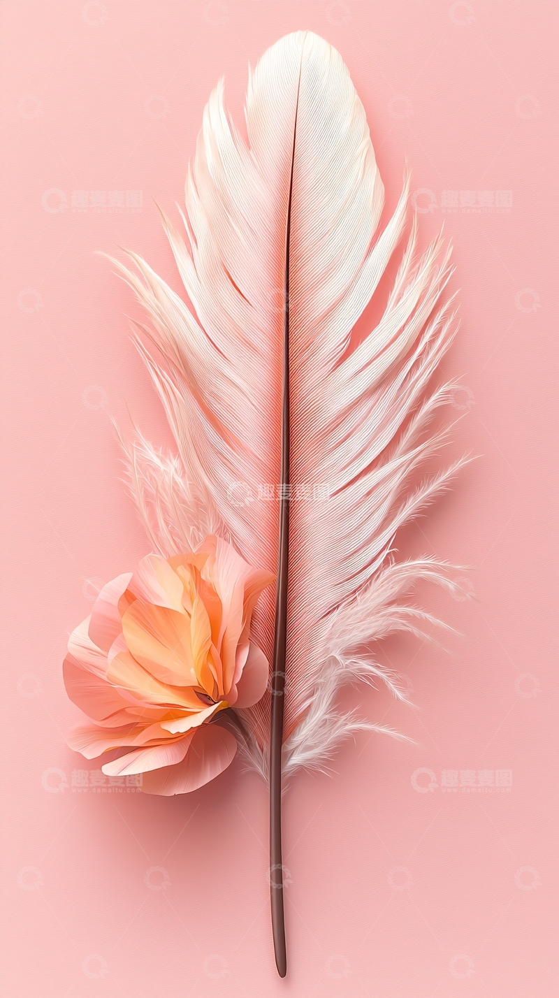 高清大图下载【趣麦麦图】粉色背景上的羽毛与花