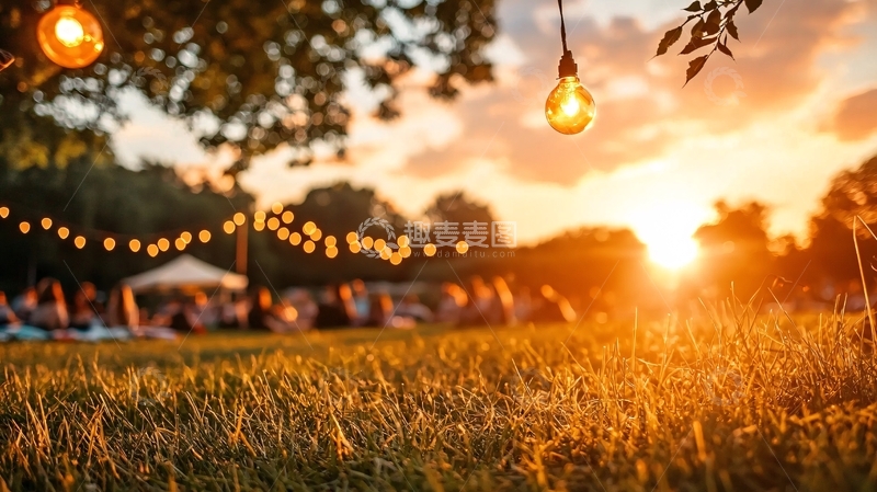 高清大图下载【趣麦麦图】草地上的灯串和人群