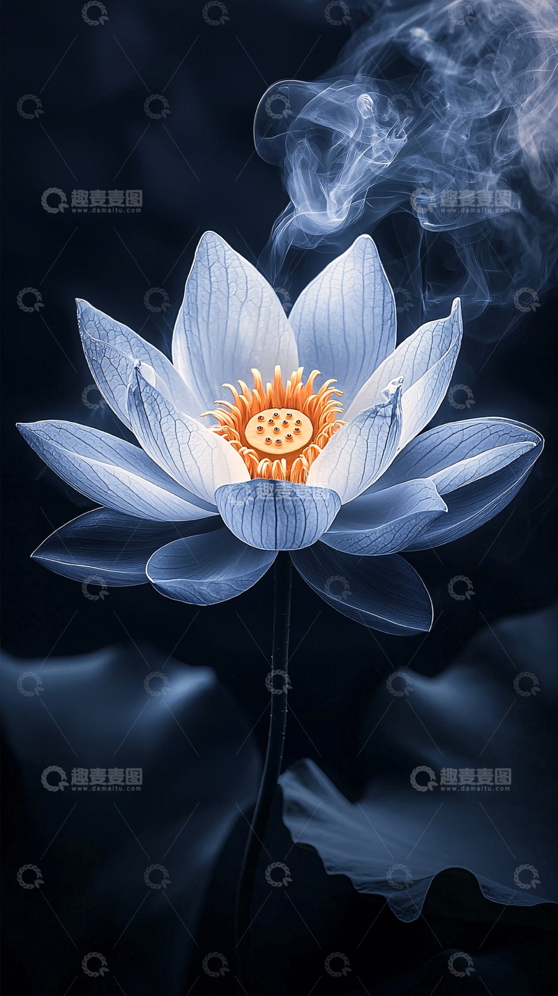 高清大图下载【趣麦麦图】蓝色烟雾莲花