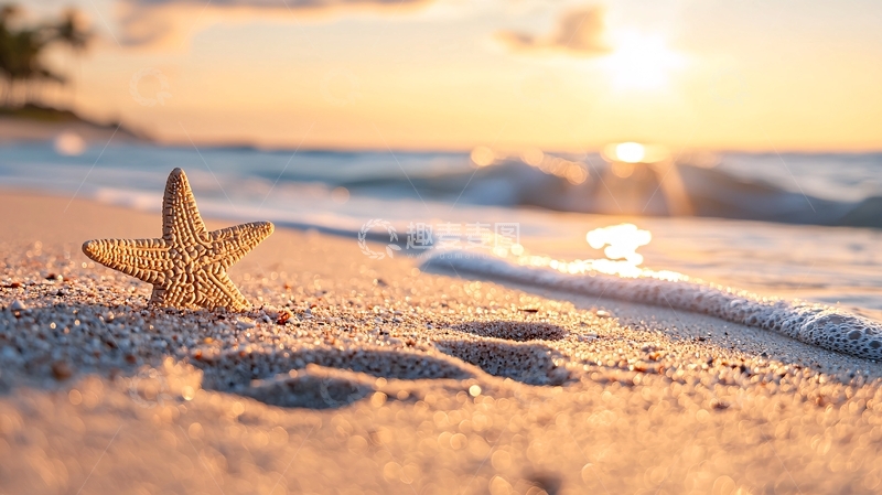 高清大图下载【趣麦麦图】海滩日落下的海星