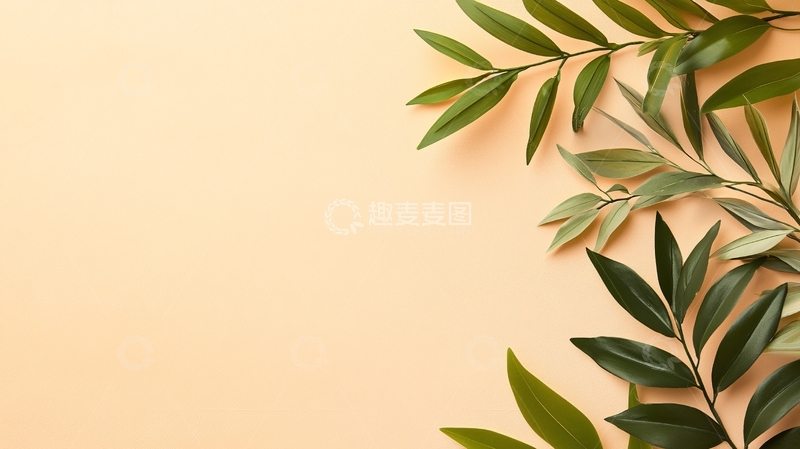 高清大图下载【趣麦麦图】植物背景米色留白