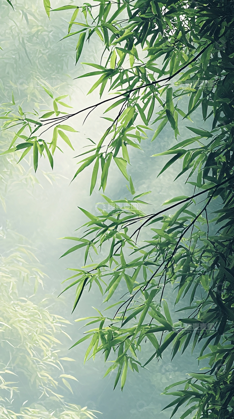 高清大图下载【趣麦麦图】竹叶清新淡雅意境图