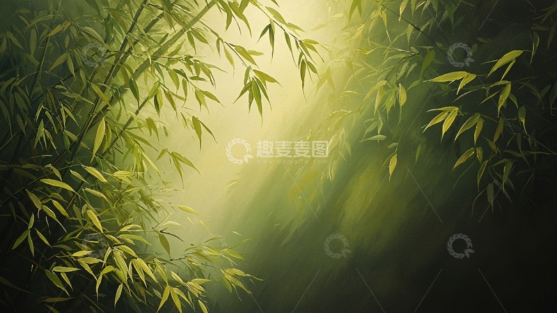 高清大图下载【趣麦麦图】阳光穿过竹林的画面