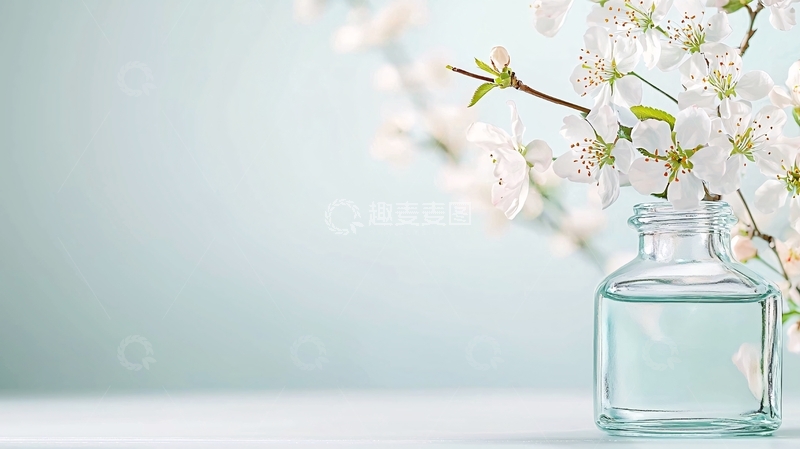 高清大图下载【趣麦麦图】白色花朵在透明玻璃瓶中