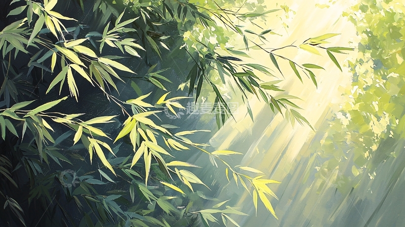高清大图下载【趣麦麦图】竹林光影高清图片