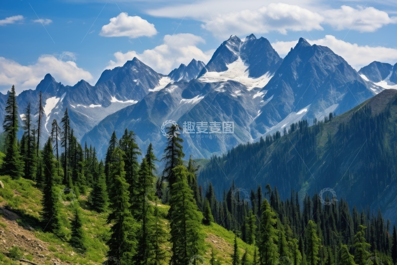 高清大图下载【趣麦麦图】远山松树林自然美景