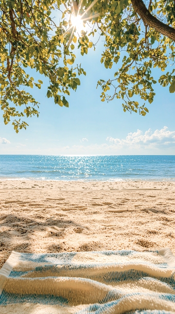 海边阳光树荫下的沙滩