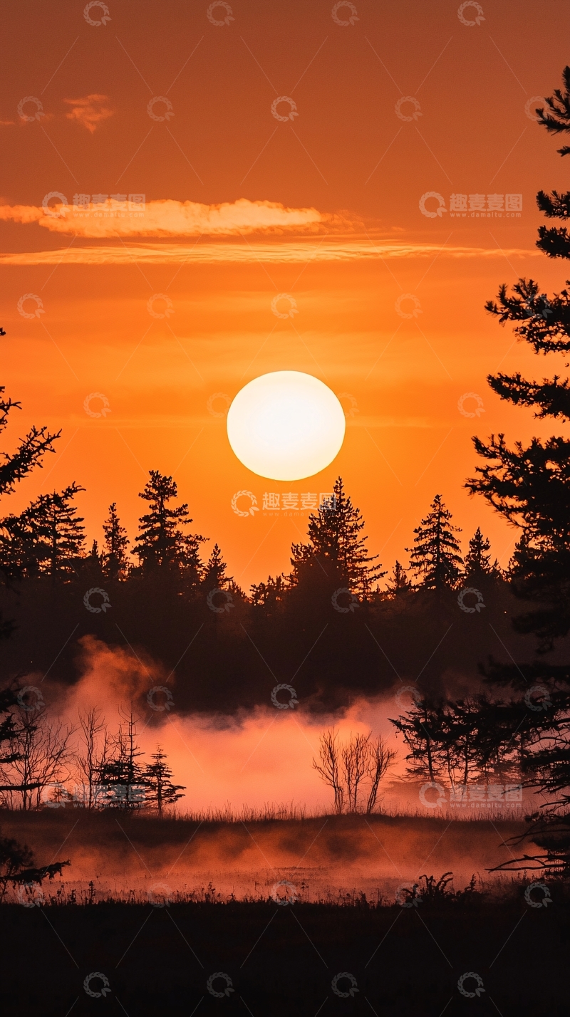 高清大图下载【趣麦麦图】森林日落美景