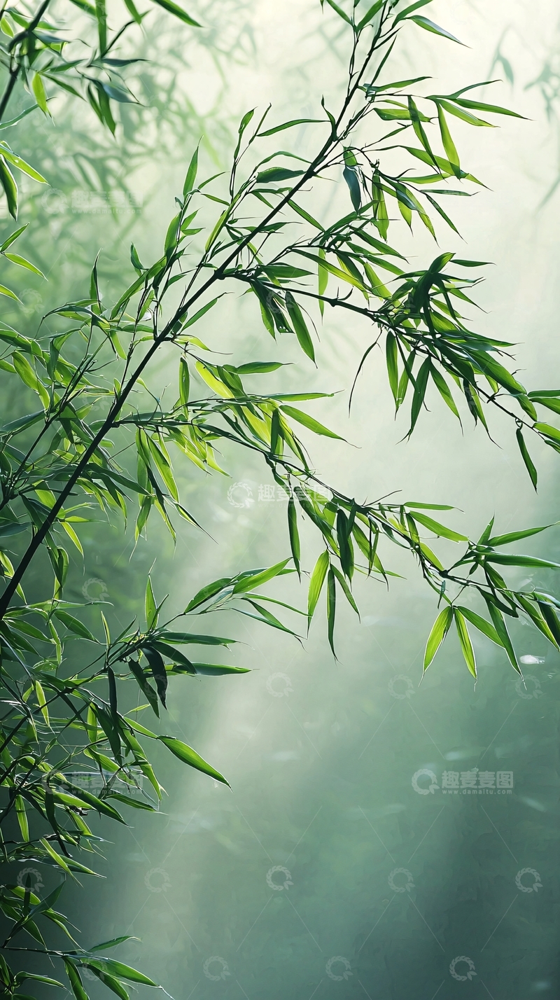 高清大图下载【趣麦麦图】绿色竹林高清图片