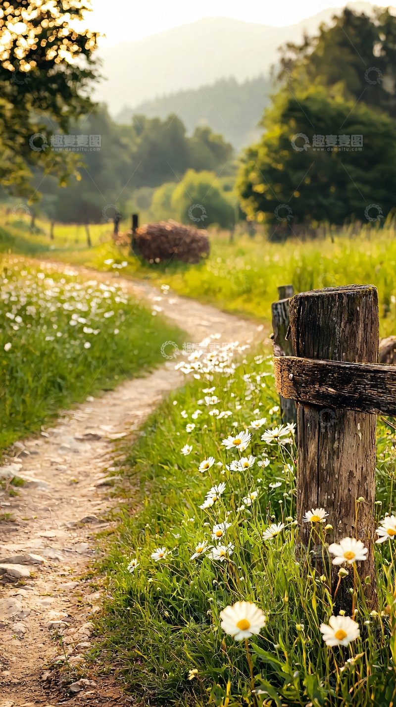 高清大图下载【趣麦麦图】乡间小路风景如画