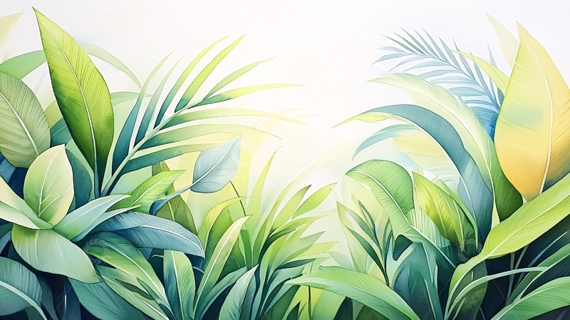 高清大图下载【趣麦麦图】清新绿色植物水彩背景
