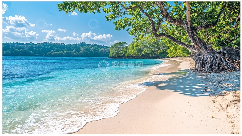 高清大图下载【趣麦麦图】宁静的海滩与树木