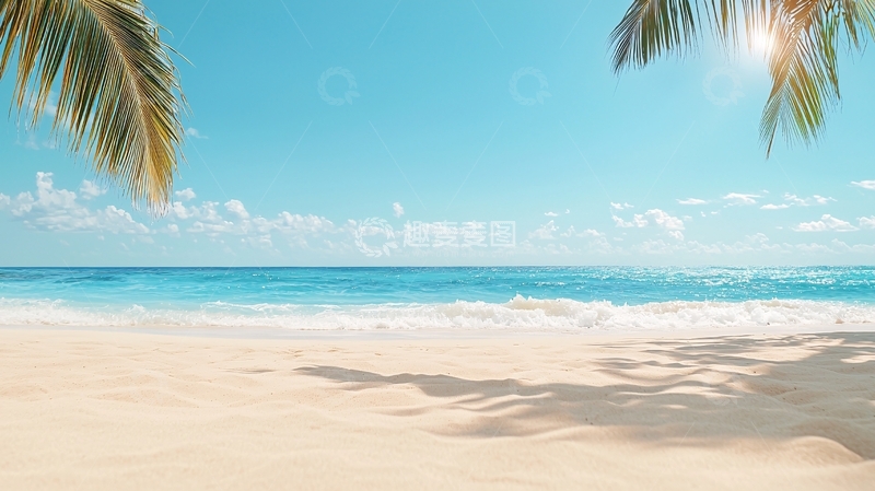 高清大图下载【趣麦麦图】海滩阳光棕榈树假日
