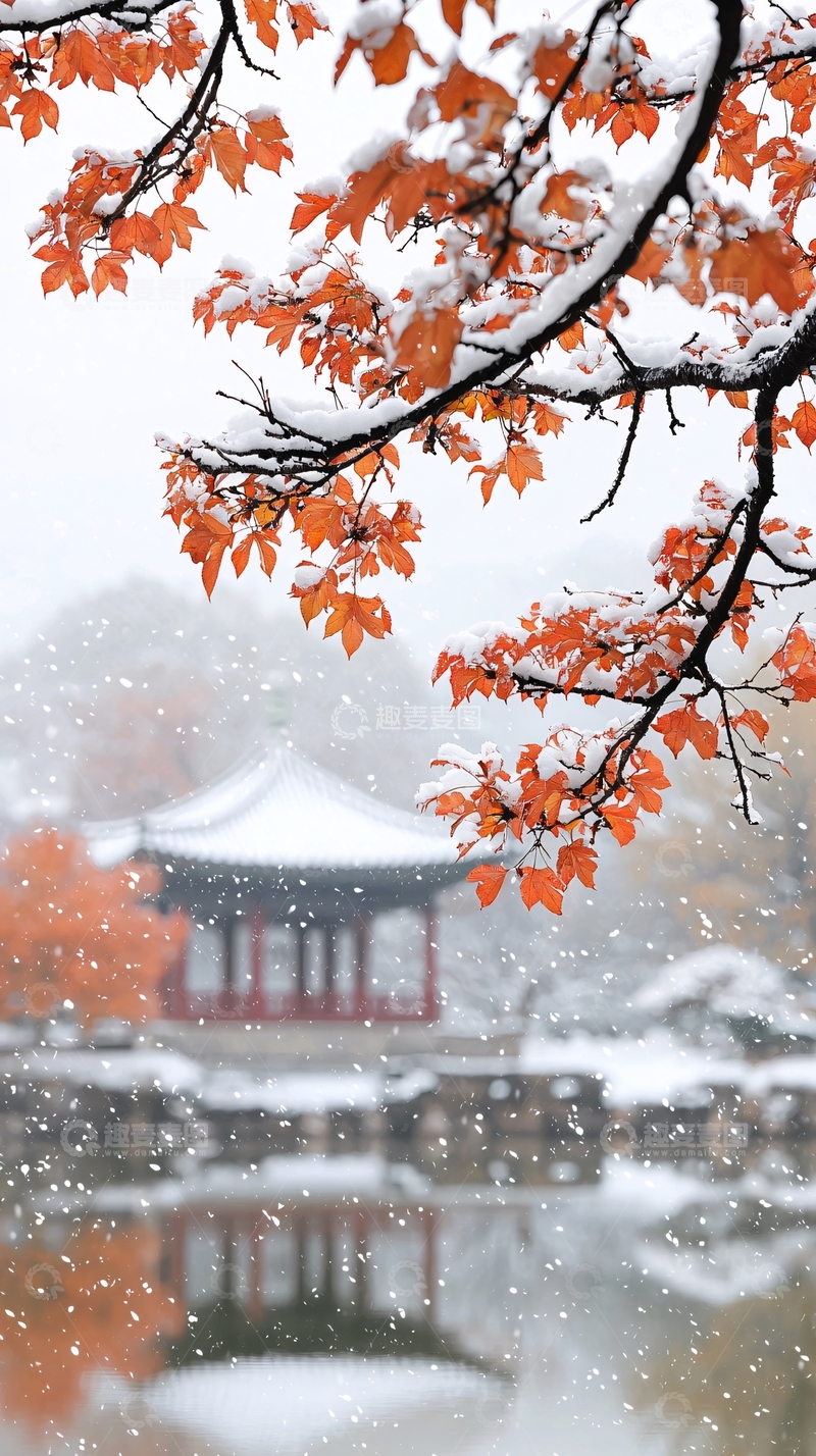 高清大图下载【趣麦麦图】雪中红叶古建筑