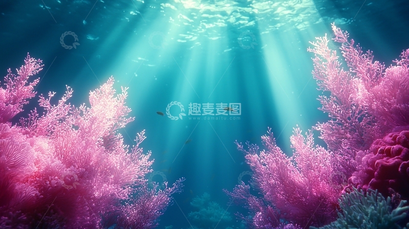 高清大图下载【趣麦麦图】水下珊瑚礁高清图片