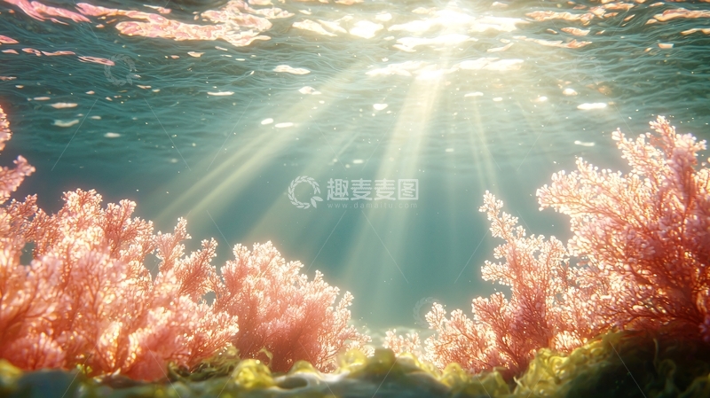 高清大图下载【趣麦麦图】阳光穿透清澈的海水