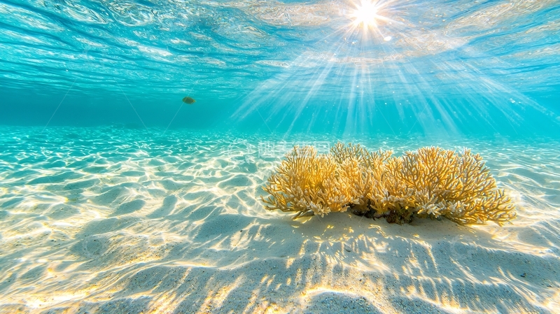 高清大图下载【趣麦麦图】阳光穿透清澈海水