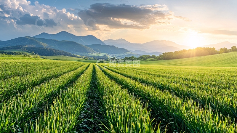 高清大图下载【趣麦麦图】绿色田野延伸至山脉