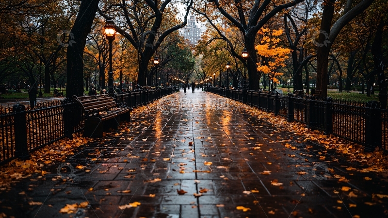 高清大图下载【趣麦麦图】落叶满地城市公园小路