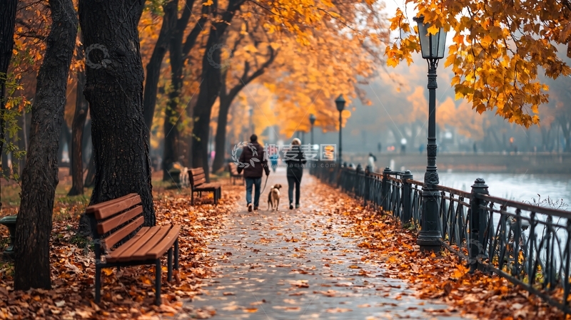 高清大图下载【趣麦麦图】秋季公园落叶小路