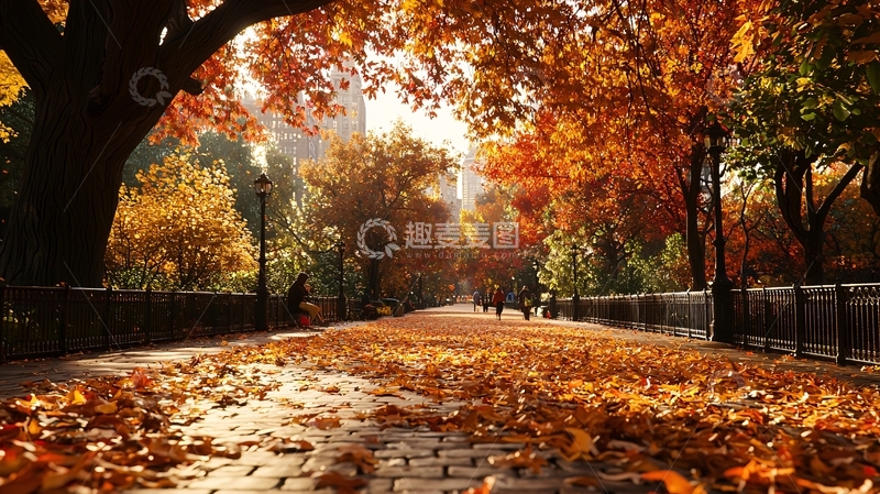 高清大图下载【趣麦麦图】秋天落叶覆盖的道路