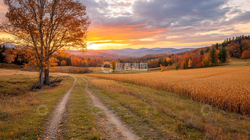 高清大图下载【趣麦麦图】秋日田野的金色落日