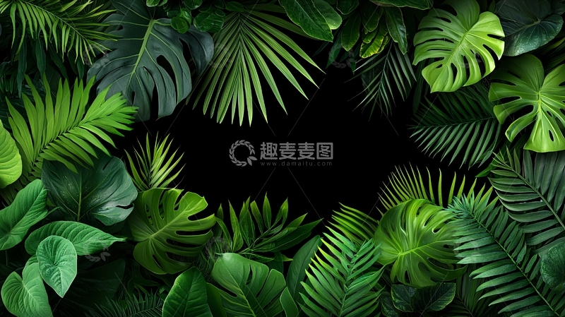 高清大图下载【趣麦麦图】热带雨林植物背景
