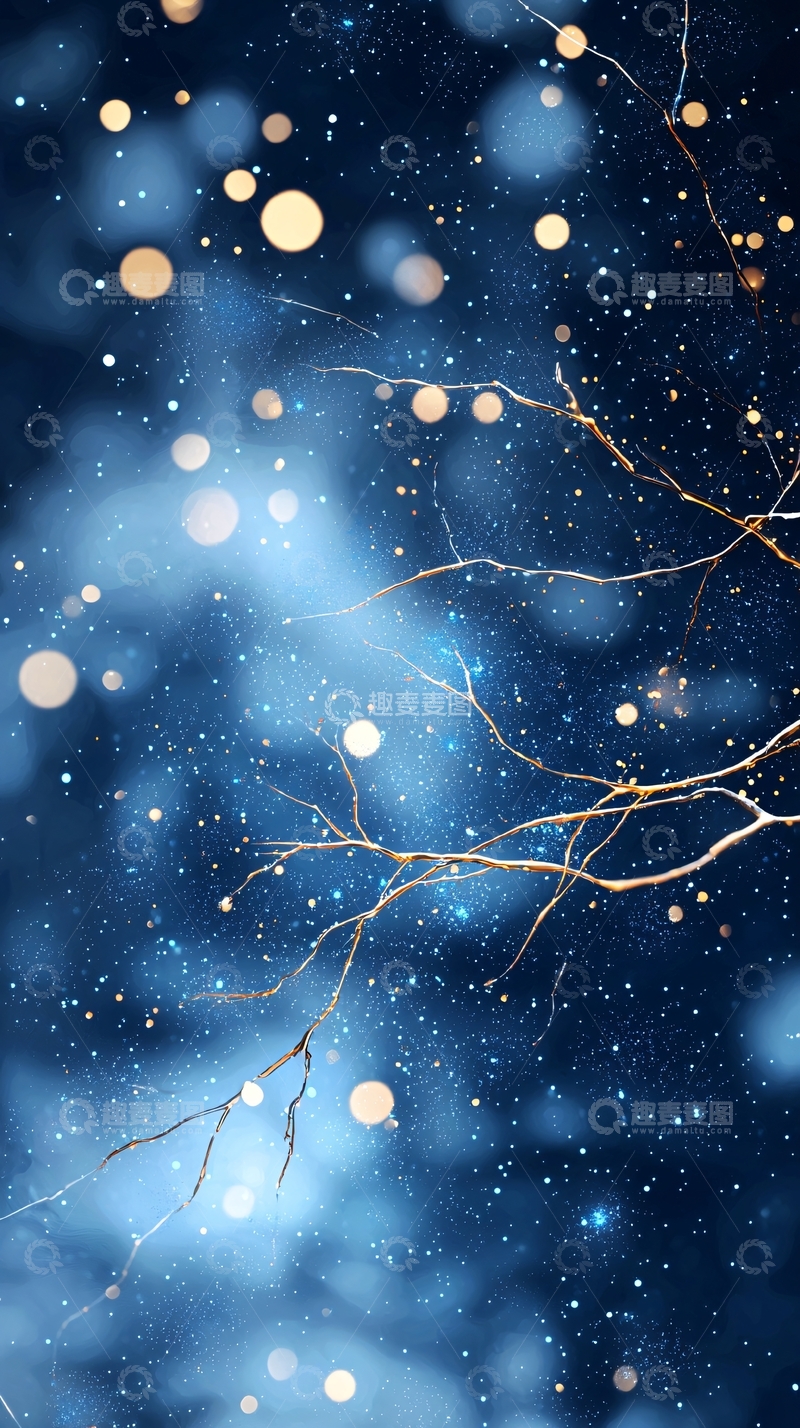 高清大图下载【趣麦麦图】夜空树枝光斑水墨风