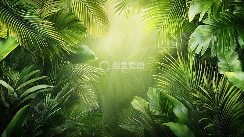 高清大图下载【趣麦麦图】热带雨林高清图片