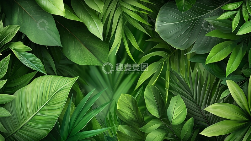 高清大图下载【趣麦麦图】茂盛绿色植物特写