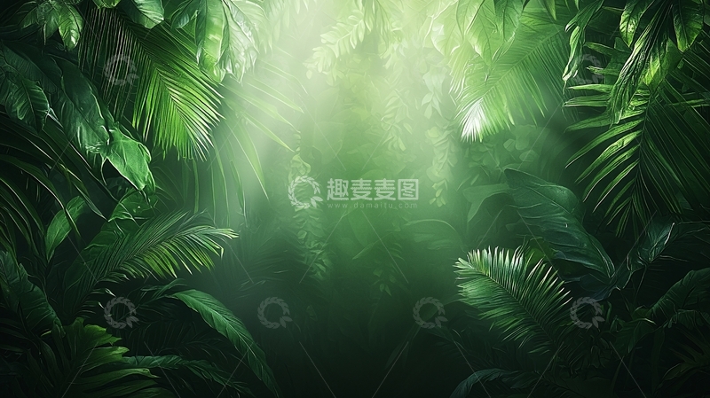 高清大图下载【趣麦麦图】绿色植物光线森林深处